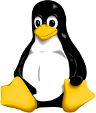 Linux Server